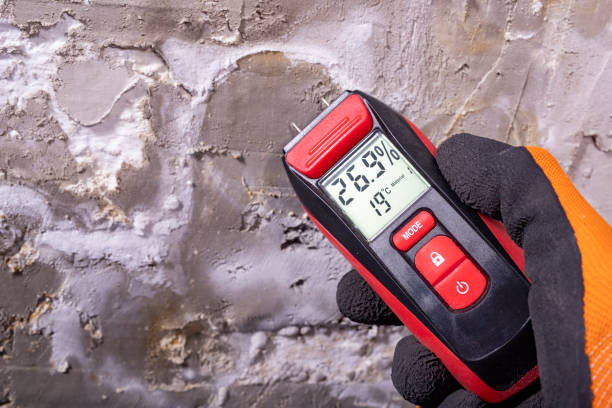 Best Office Mold Removal Services  in Hazlehurst, MS
