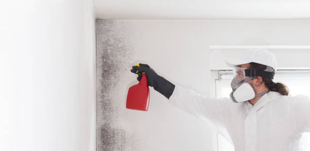 Best Crawl Space Mold Removal  in Hazlehurst, MS