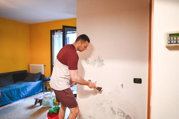 Best Mold Remediation  in Hazlehurst, MS